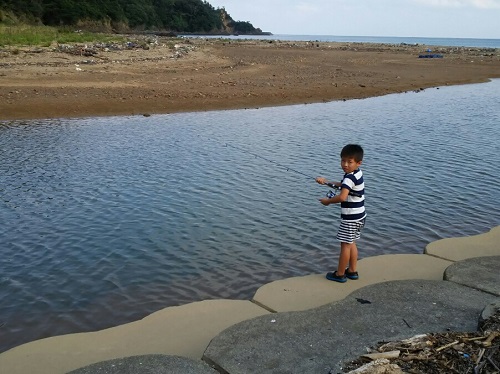 30日・マングローブジャックを釣る5歳児!