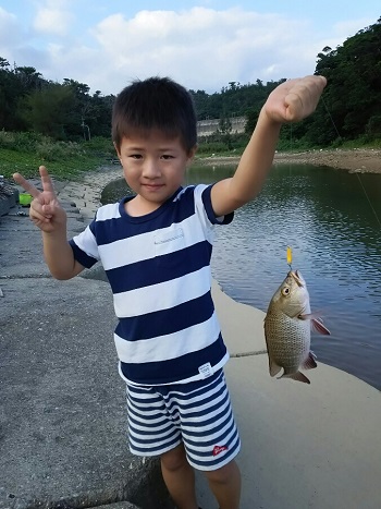 30日・マングローブジャックを釣る5歳児!