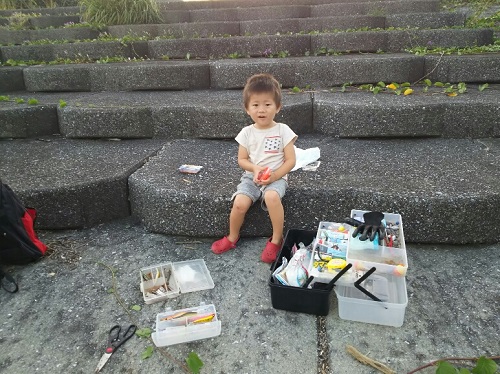 30日・マングローブジャックを釣る5歳児!