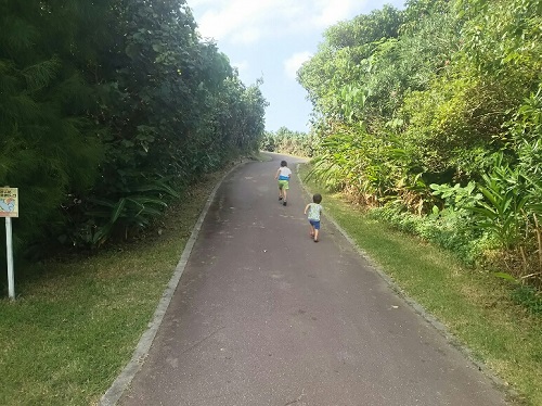 3日・K-1初代フェザー級王座決定戦を庭BBQで!