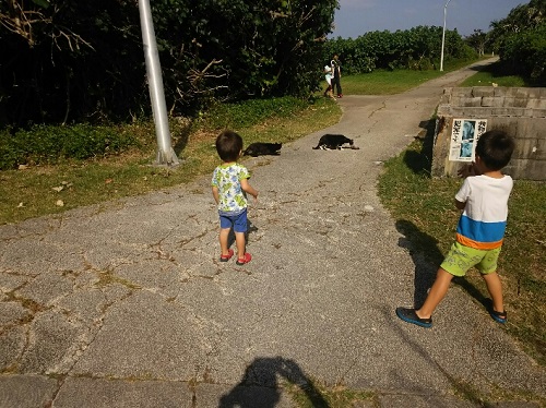 3日・K-1初代フェザー級王座決定戦を庭BBQで!