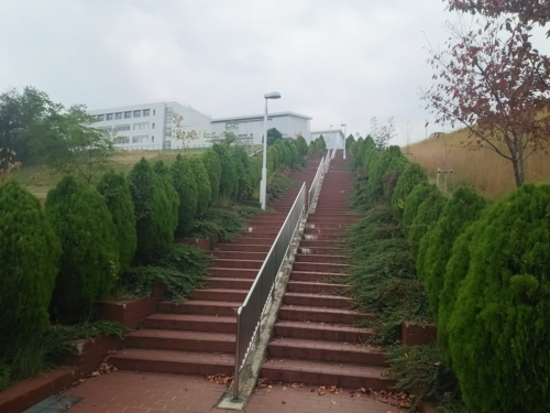 6日・津田サイエンスヒルズで。