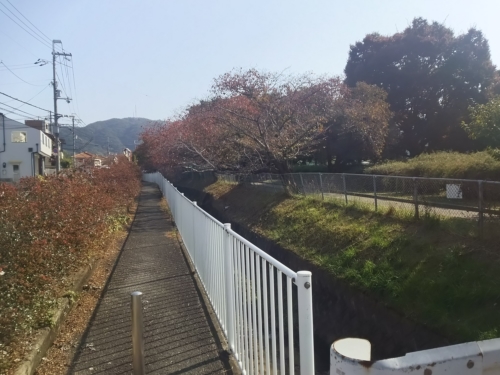 7日・カプセルイン大阪に!