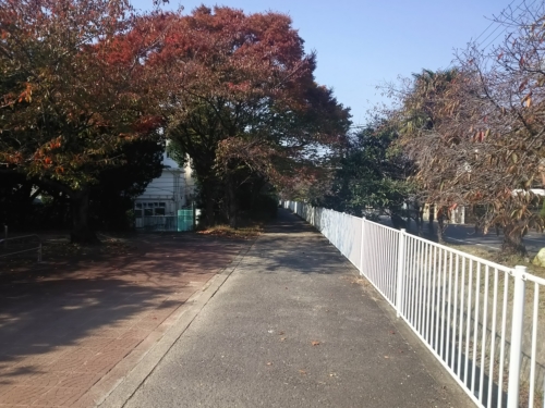 7日・カプセルイン大阪に!