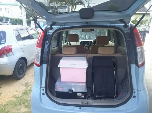 14日・砂辺のリーフでモンガラ先輩!