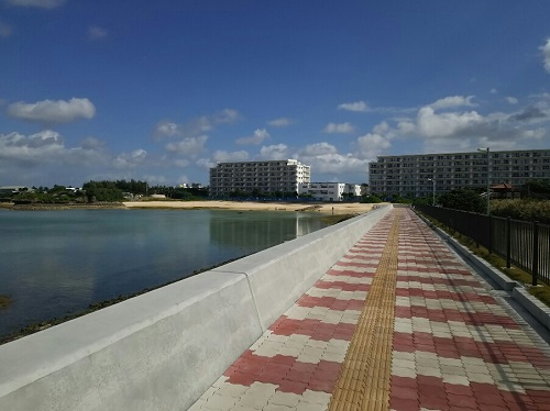 14日・砂辺のリーフでモンガラ先輩!