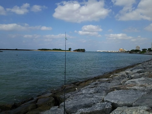 16日・釣りジム夜タコ!