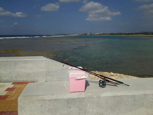 16日・釣りジム夜タコ!