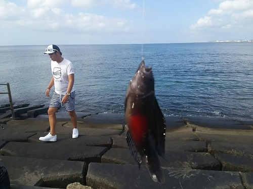 18日・天下一品ラーメン!