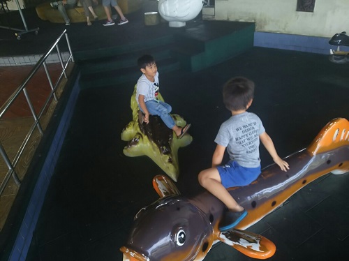 26日・2016年ラストキャンプ!?