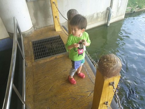 26日・2016年ラストキャンプ!?