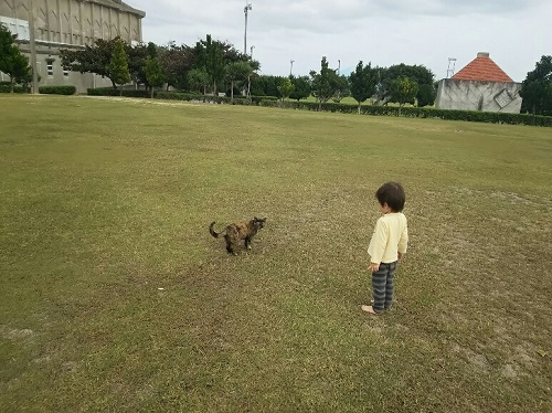 7日・次男とふたりでお留守番!
