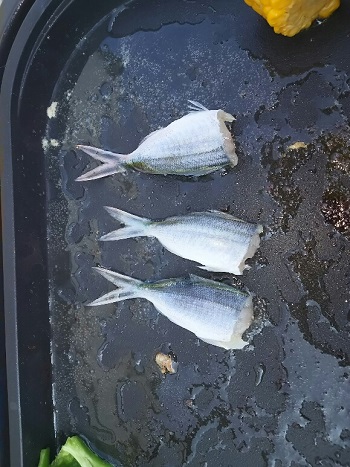 10日・ぎのわんシーパーティでグルクン祭り!