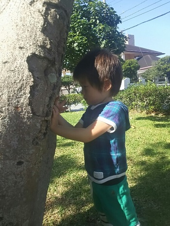 11日・K-SPIRIT15を観戦!