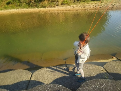 1日・明けましておめでとうございます!
