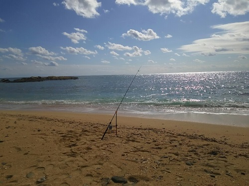 17日・ひとり釣り、再び!