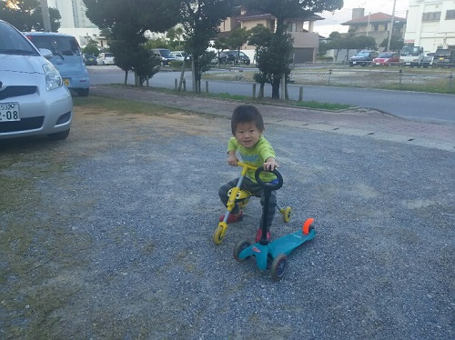 27日・今帰仁の桜まつりに行こうかな。