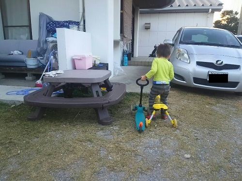 27日・今帰仁の桜まつりに行こうかな。