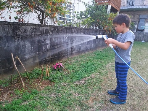 28日・今帰仁城跡の桜まつりに!