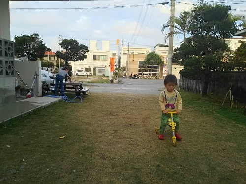 28日・今帰仁城跡の桜まつりに!