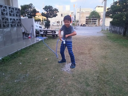 28日・今帰仁城跡の桜まつりに!