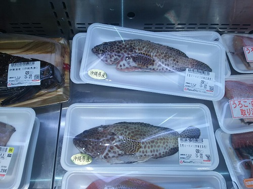 6日・イシミーバイ!