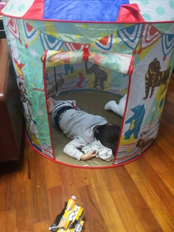 1日・プレゼントを貰いました!