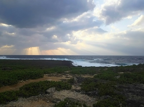 2日・沖縄の観光地巡り!