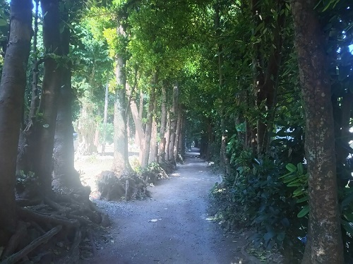 3日・万座毛・美ら海・古宇利島!