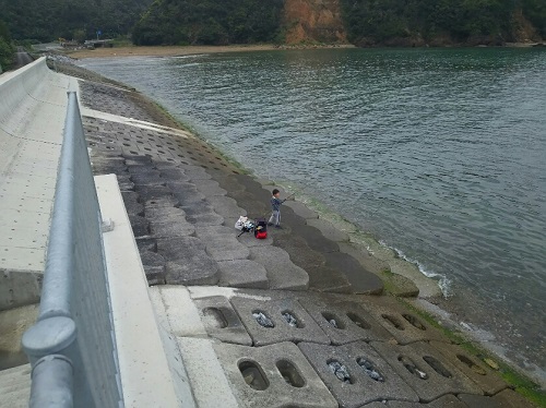 20日・3連休最終日!