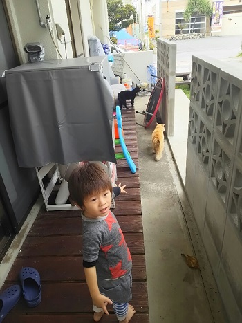 21日・キャンカー企画の打ち合わせ!