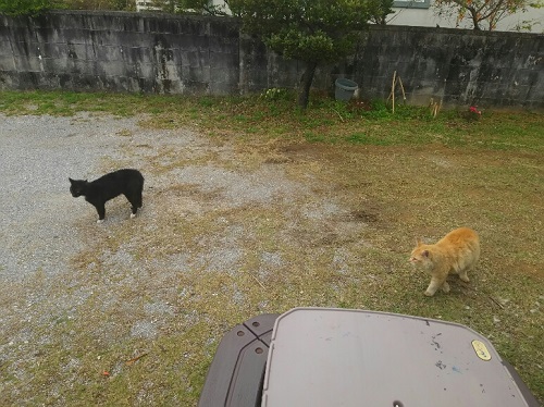 21日・キャンカー企画の打ち合わせ!