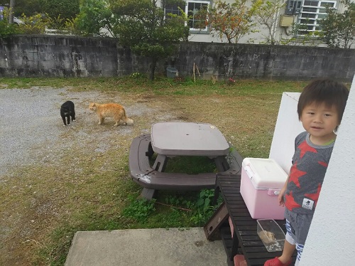 21日・キャンカー企画の打ち合わせ!