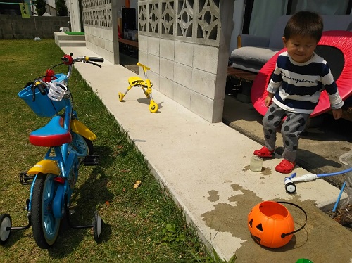 29日・浦添にあるタンタンの肉まん!