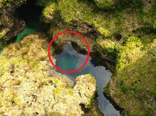 14日・久々の釣り三昧!