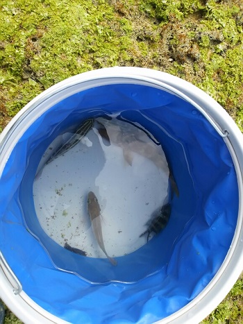 14日・久々の釣り三昧!