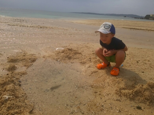 15日・急きょ、美ら海キャラバンへ!