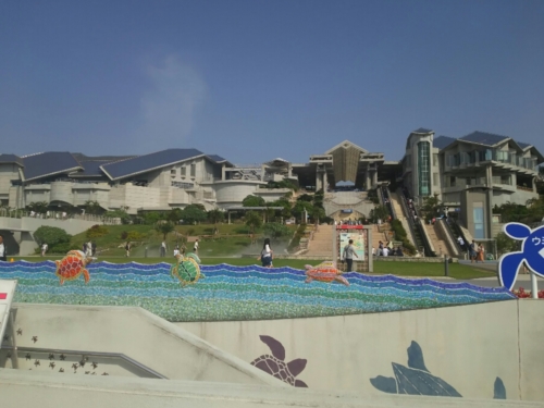 19日・玉家名護店の沖縄そば!