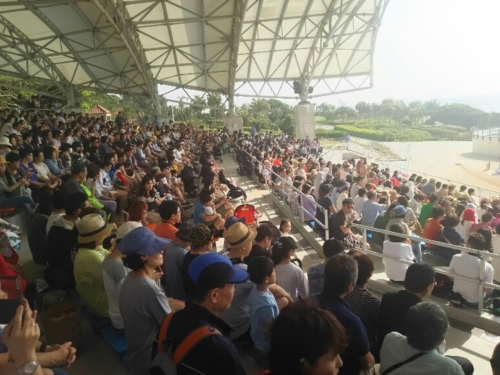 19日・玉家名護店の沖縄そば!