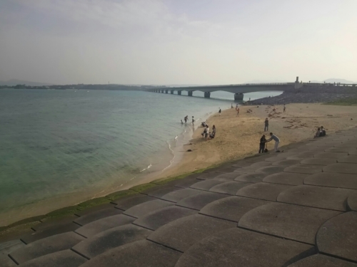 19日・玉家名護店の沖縄そば!