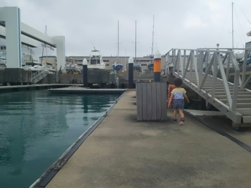 20日・宜野湾マリーナにて!