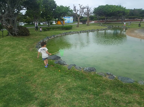 21日・沖縄国際映画祭が・・・