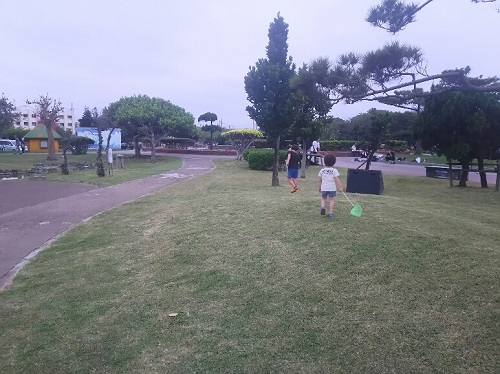 21日・沖縄国際映画祭が・・・