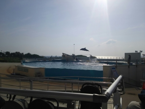 23日・最高の海釣り海遊び!