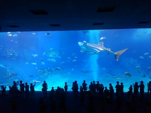 23日・最高の海釣り海遊び!