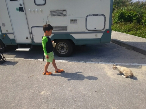 29日・男ふたり旅!