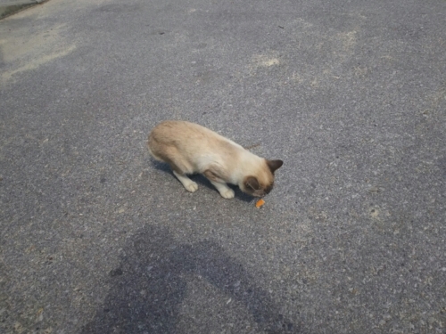 29日・男ふたり旅!