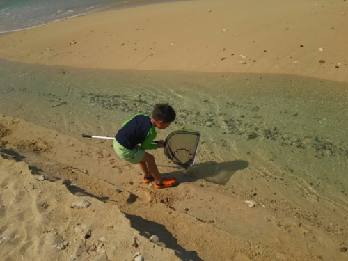 29日・男ふたり旅!