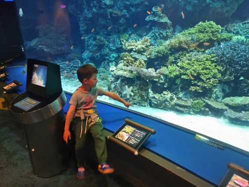 29日・男ふたり旅!