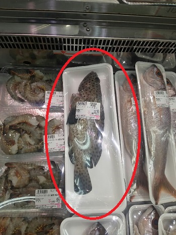 1日・ミーバイが1,170円!